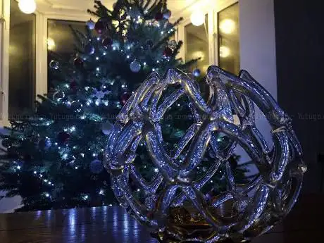Photo de Warboys Christmas Tree Centre