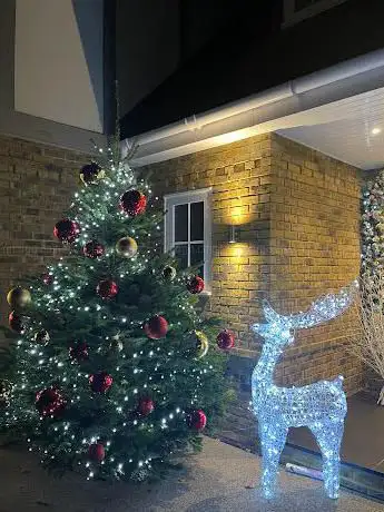 Berkshire Christmas Trees