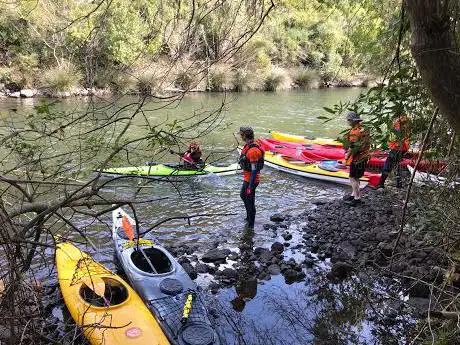 Bikappa asd Kayak