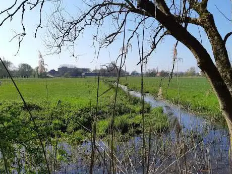 Photo de Natuurgebied Niels Broek - kant Niel