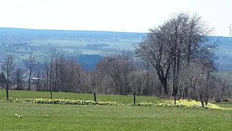 Photo de Steling - Eifel-Blick