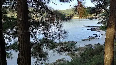 Praia do Ariño