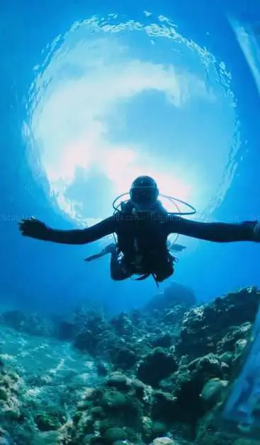 Photo de Diving center Veles
