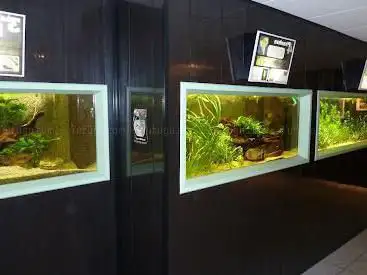 Photo de Aquarium de Saint Chamond - L'Aquaramiaud