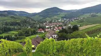 Münsterblick
