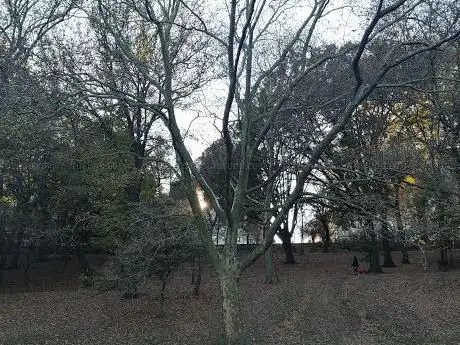 Photo de The Riverside Park