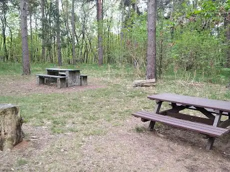 Photo de Solivo picnic