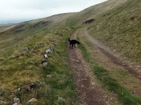 Photo de Carntogher Summit