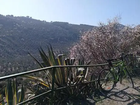 Photo de Peña de La Fuente