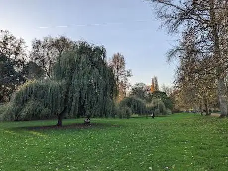 Photo de Willow Tree