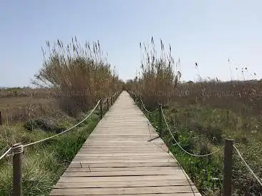 Llobregat Delta