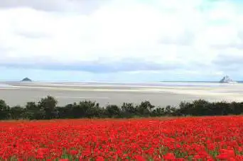 Patrice TRÈCHE - Traversée baie du Mont Saint-Michel - Guide nature