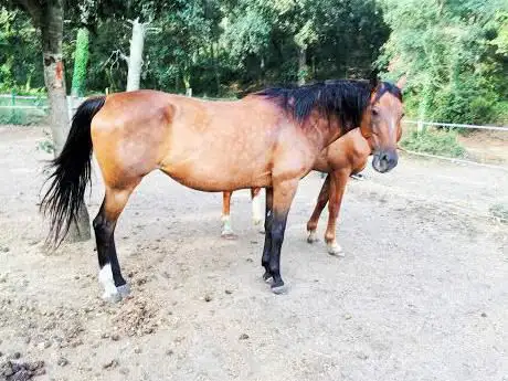 Photo de M&C Ranch