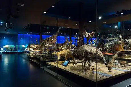 Musée d'histoire naturelle