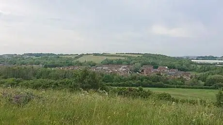 Dinnington Community Woodland