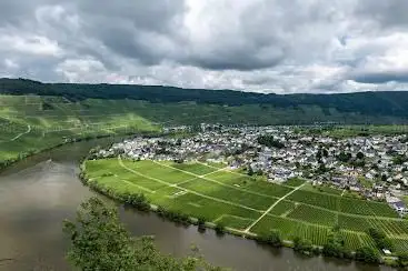Photo de Weinbergaussicht