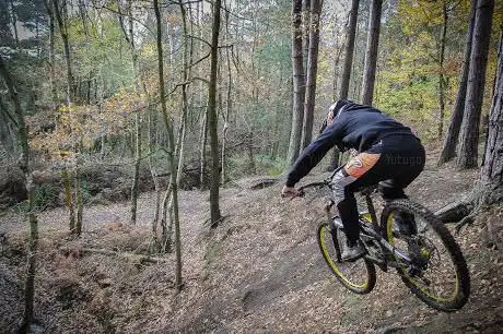 Photo de Wharncliffe Wood