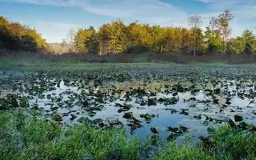 Photo de Grand River Conservation Campus