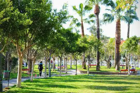 Photo de Parque el Olivar del Pinillo
