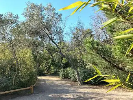 Photo de Parc Du Pigeonnier