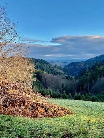 Schwarzwälder Genießerpfad