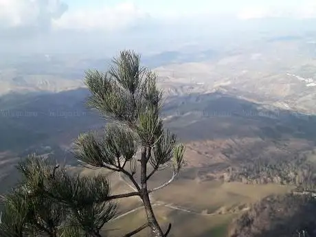 Photo de La vetta