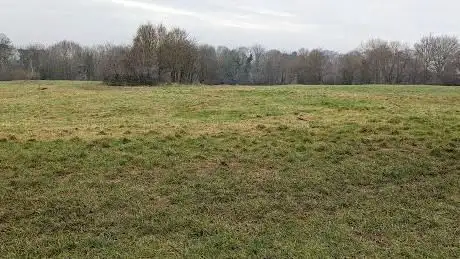 Photo de Priory Wood public open space