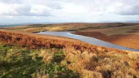 Photo de Eastern White Barrow