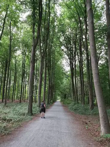 Heverleebos