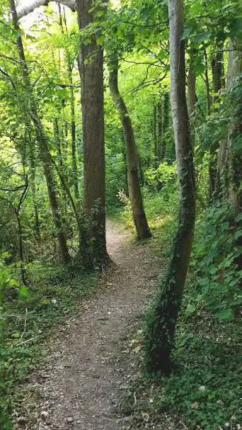 Le Chemin du Genévrier