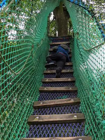 Treetop Trails