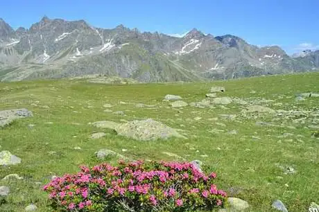 Photo de Lac del Pian di Lach