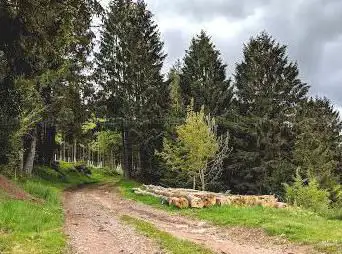 Plateau du signal
