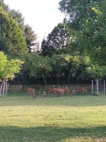 Natuurgebied Kronkelende Beken