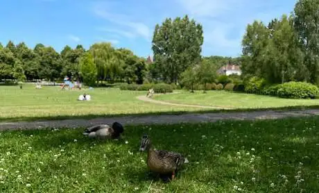 Photo de Parc municipal