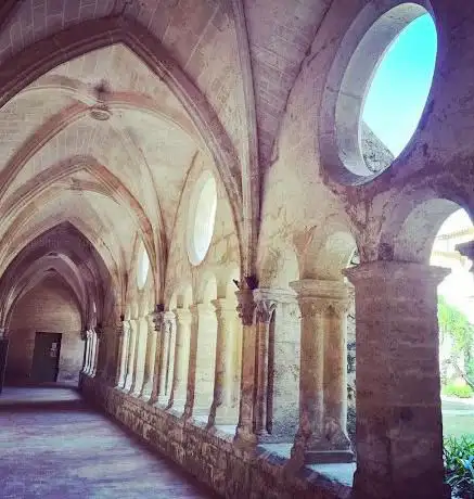 Photo de Parcours de l'Abbaye Sainte-Marie de Valmagne