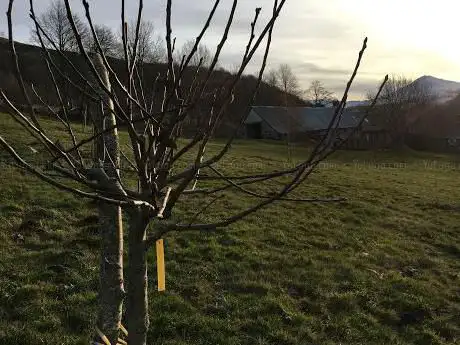 Photo de La Ferme de Badabec