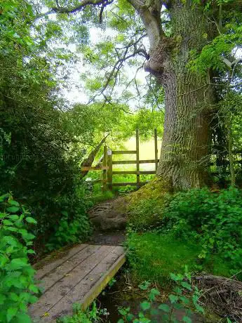Photo de Lottie's Woods