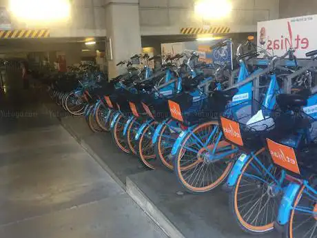 Blue-bike Brugge station