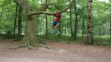 Photo de The DELL in Whippendell Woods