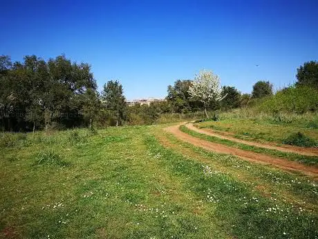 Photo de Parc régional urbain du Pineto