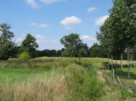 Motte