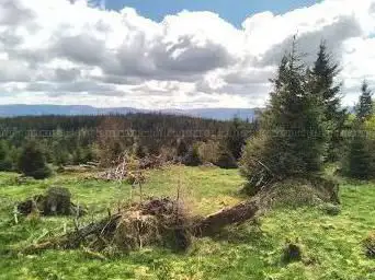 Le Rossberg