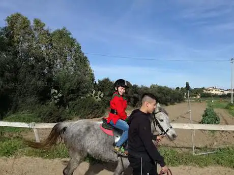 Scuderia Sabiu - IPPOLANDIA