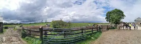 T & Y Hillcroft Farm Riding Centre