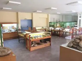 Photo de Musée Armand Viré