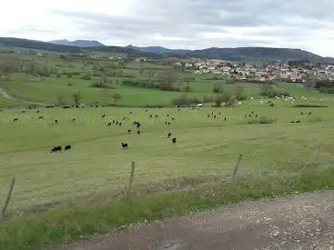 Photo de SR2 Lantriac