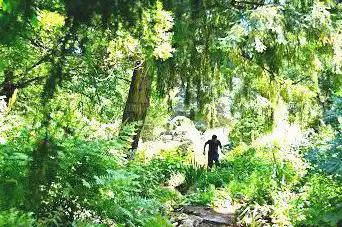 Photo de alpin Garden