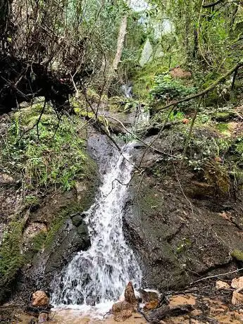 Cascate