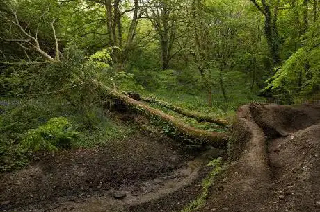 Parc Shady